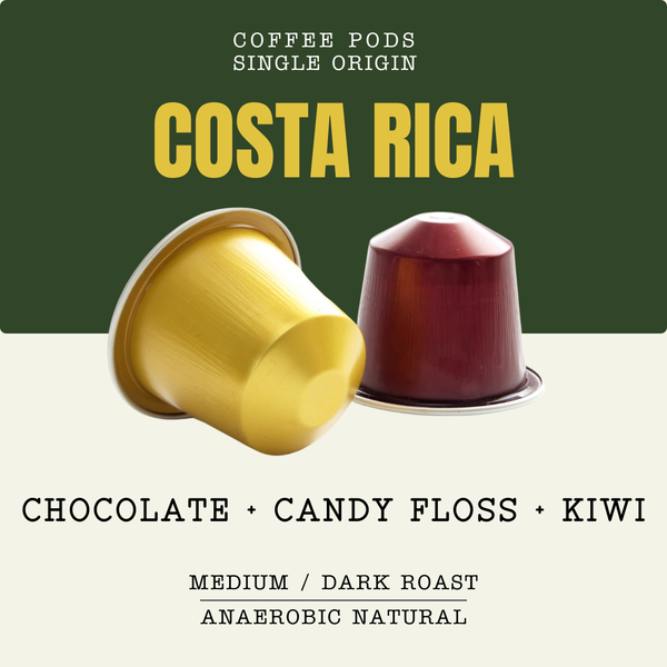 COSTA RICA COFFEE POD - Camden CoffeeTech